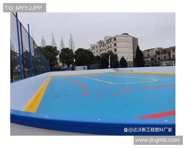 安全与竞技的完美平衡：冰球场界墙规划攻略